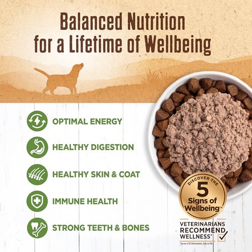 Wellness 89405 95% Lamb Natural Wet Grain Free Canned Dog Food thumb #2