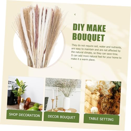 Cabilock 180 Peças Flores de junco secas junco para decoração de vaso cana seca natural plantar cana