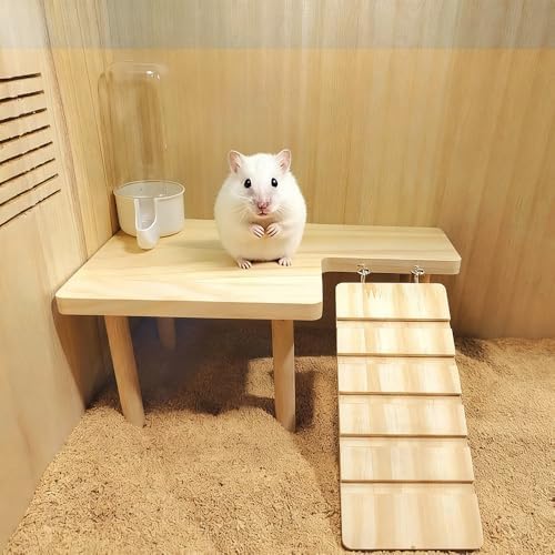 Hamster Play Wooden Platform,Hamster Cage Accessories Climbing Toys Dwarf Syrian Hamster Gerbil Rat Mice Degus or Other Small Pets (1, Rectangle) - 4