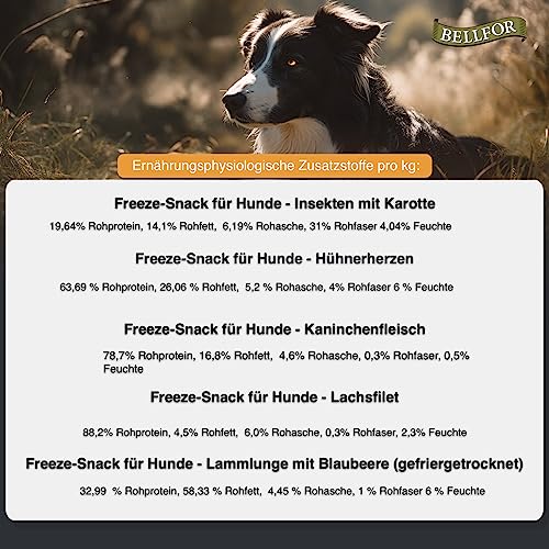 Bellfor Gefriergetrocknete Freeze-Snacks für Hunde 250 g gut bekömmlich kohlenhydratarm und Ohne künstliche Zusatzstoffe