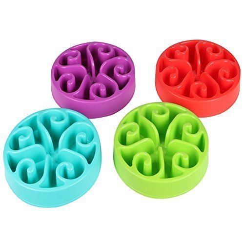 Sohler By Eurotrade W Comedero para Mascotas, Perro, Gato, Laberinto Interactivo Antideslizante