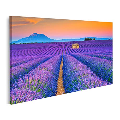 Tableau lavande Valensole pour masquer un mur vide et illuminer une piece sombre