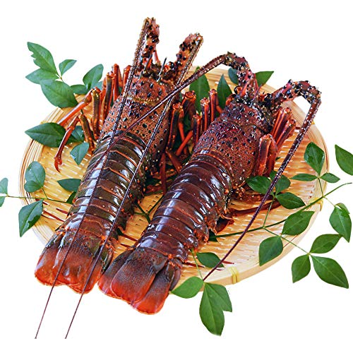 OdY ɐCV l QŖVTO hgp u Ⓚ ɐGr