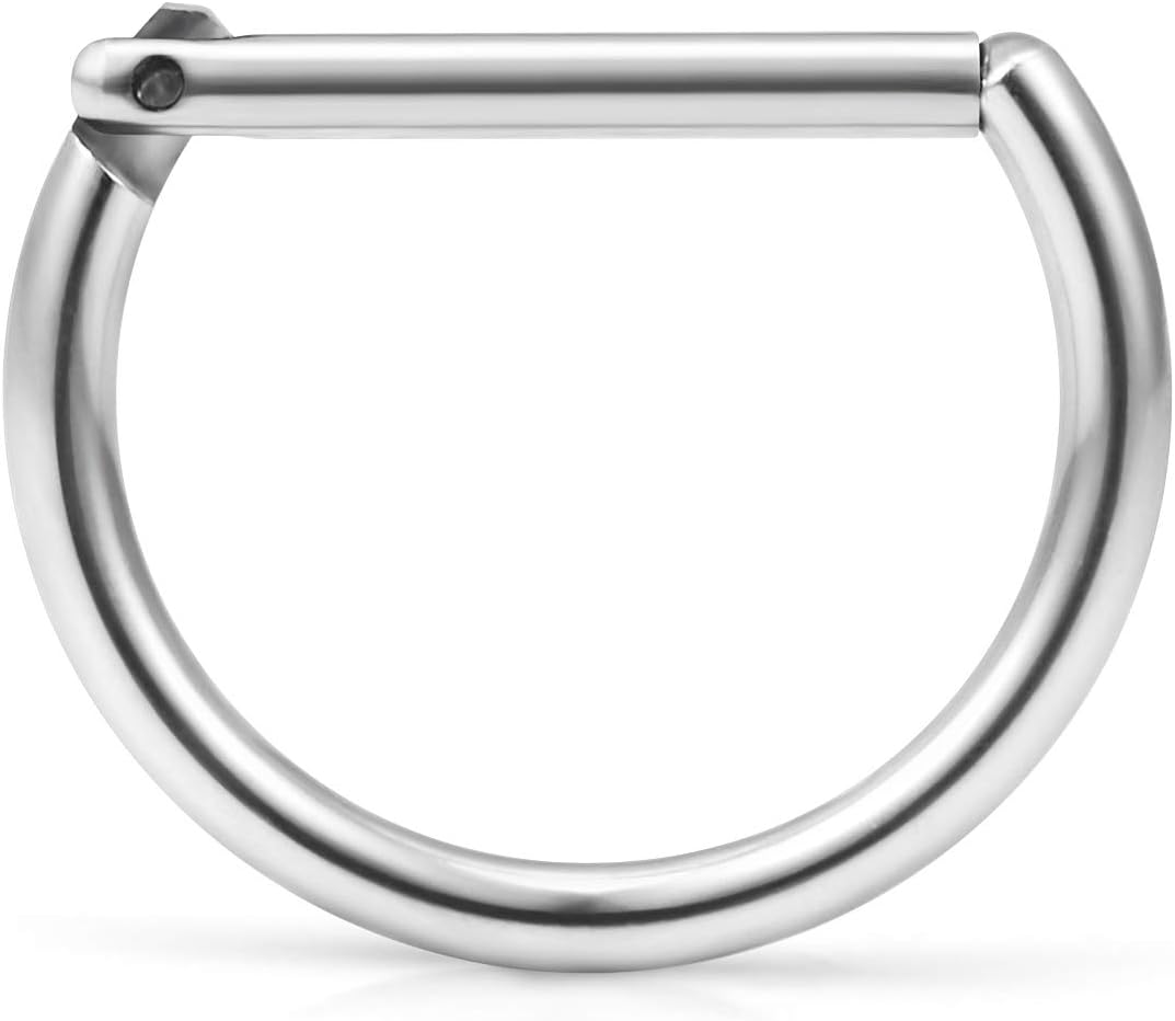 Ruifan 316L Stainless Steel D Shaped Hinged Seamless Segment Hoop Septum Clicker Ring Lip Helix Tragus Cartilage Earrings Nose Rings Pirecing 16g 10mm