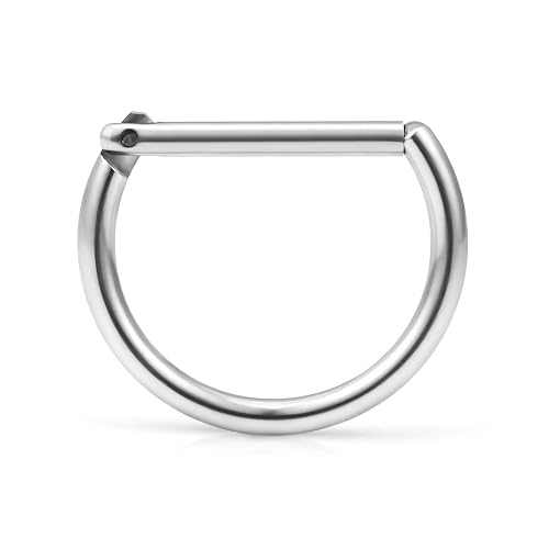 Ruifan 316L Stainless Steel D Shaped Hinged Seamless Segment Hoop Septum Clicker Ring Lip Helix Tragus Cartilage Earrings Nose Rings Pirecing 16g 10mm - 1PC - Silver