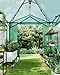 6x8 ft Portable Green House for Outdoor, Pop Up Grow Tent for All Seasons, Heavy-Duty PE Cover Greenhouses Kit for Indoor, Zippered Doors & Mesh Windows,