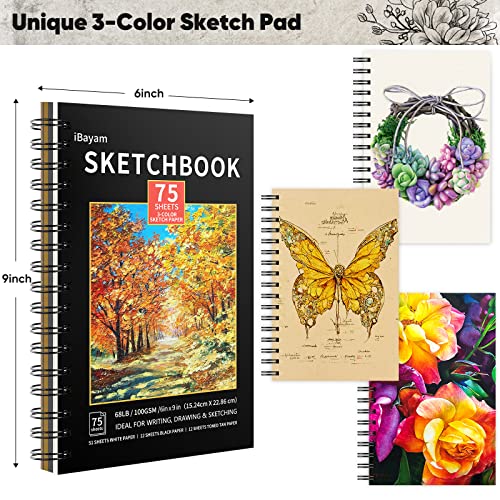 Ibayam 78-Pack Drawing Set Sketching Kit, Pro Art Supplies With 75 Sheets 3-Color Sketch Pad, Coloring Book, Colored, Graphite, Charcoal, Watercolor, Metallic Pencils For Artists Adults Kids Beginners #TOP5