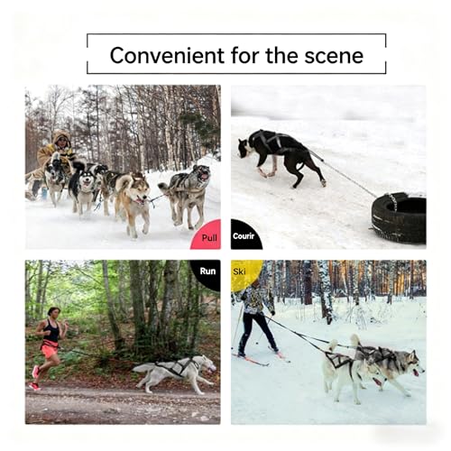 SOYUZERISH Schlittenhundegeschirr Hundeschlittengeschirr Haustiergewicht Ziehen Schlittengeschirr Mushing X-Back Geschirr for große Hunde Husky Canicross Skijöring Scootering (Blau, L)