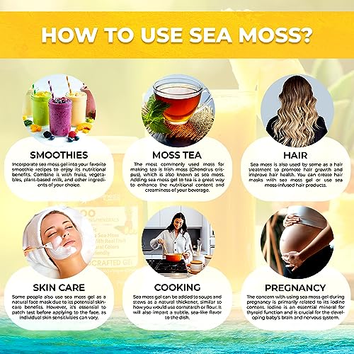 Irish Sea Moss Gel Organic Raw