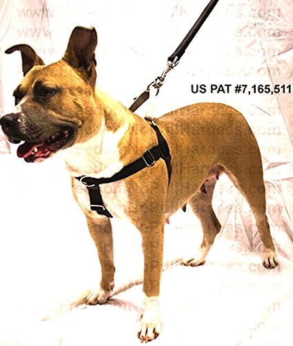 5/8" Wide Medium (MD) Freedom No-Pull Harness and Training Leash (Black w/Silver Loop)- Direct from Inventor