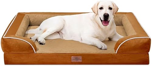 Miniatura 246 de Comfort Expression - Cama ortopédica perros pequeños, 20 x 14 pulgadas, impermeable, espuma soporte cartón de huevo, cojines extraíbles, sofá con