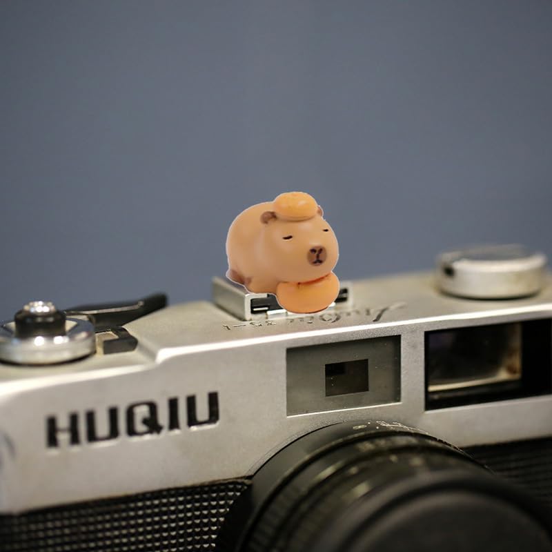 Image of Camera Hot Shoe Cover, Cute Hot Shoe Cap, Hot Shoe Protector Compatible with Sony Fujifilm Fuji Canon Nikon Pentax Leical Panasonic (2pcs Capybara)