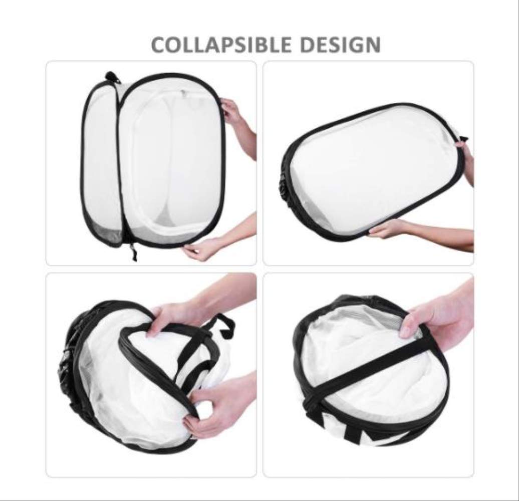Insecte et Papillon Habitat Net Terrarium Pop up Pliable Blanc Kids Butterfly Net Cage avec poignées 40 * 60 cm