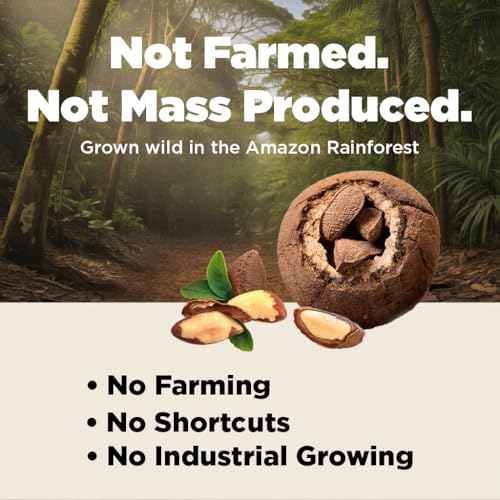 Image of Premium Wild Harvested Raw Brazil Nuts, 1 lb (16oz) - High Selenium, Batch Tested Peanut & Gluten Free, Non-GMO, Kosher, Resealable Bag