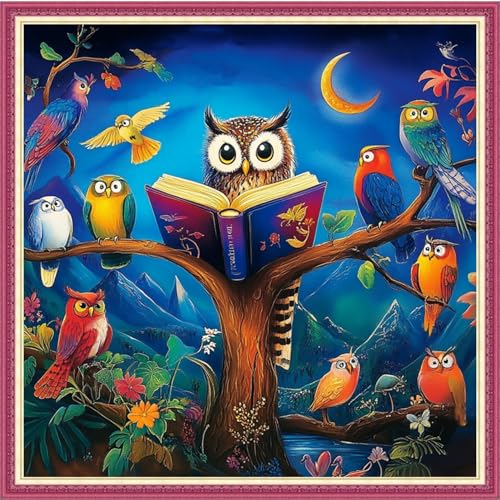 Image of Fanxvivy Stamped Cross Stitch Kits for Beginners Full Range of Cross Stitching Preprinted Embroidery Kits for Adults, 11CT Embroidery Pattern Needlepoint Kits-Moon Night Owl 18x18 inch