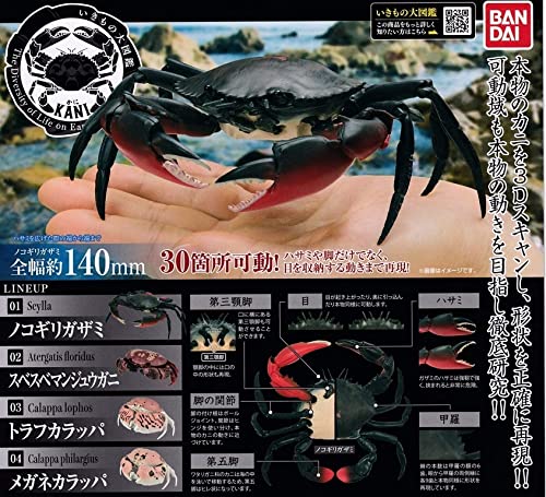 Amazon.co.jp: いきもの大図鑑 かに 全4種フルコンプ ノコギリガザミ