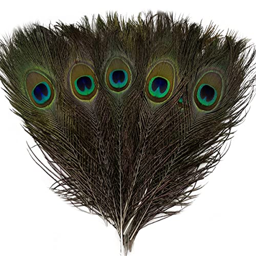 Natural Peacock Eye Feathers 10"-12" Tail Feather For Wedding Holiday Decoration Home Decor Hat Diy Craft (10Pcs) #TOP28