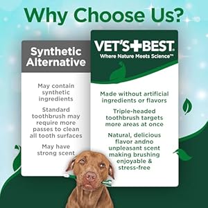 Vet's Best Dog Toothbrush & Enzymatic Toothpaste Kit - Teeth Cleaning - Made with Natural Ingredients - Reduces Plaque, Whitens Teeth, Freshens Breath - Bonus Care Guide & Finger Brush Included Vets Best Dog Toothbrush Enzymatic Toothpaste Kit Teeth Cleaning Made with Natural Ingredients Reduces Plaque Whitens Teeth Freshens Breath Bonus Care Guide Finger Brush Included