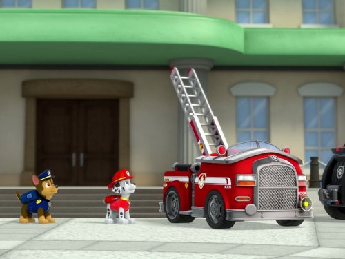 Pups Save a Bat/Pups Save a Toof