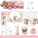 Costova Highland Cow 1st Birthday Decorations for Girls, Boho Highland Cow First Birthday Party Decorations, Holy Cow Im One Backdrop Balloon Box Banner, Bohemian Pink Floral One Year Old Birthday
