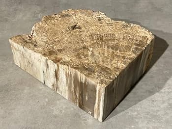 Amazon.co.jp: 天然 珪化木ペトリファイドウッド 約1300g 原石