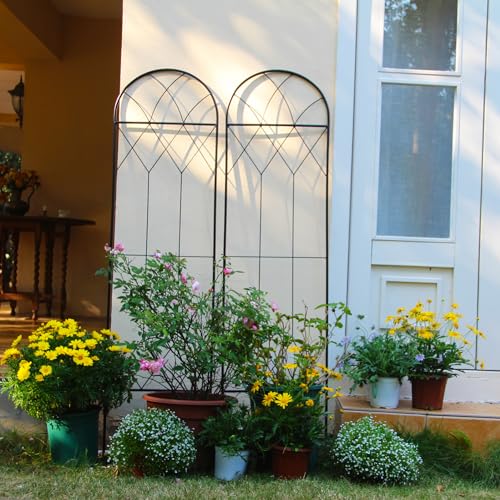 SCENDOR Garden Trellis for Climbing Plants Outdoor 2 Pack 59"