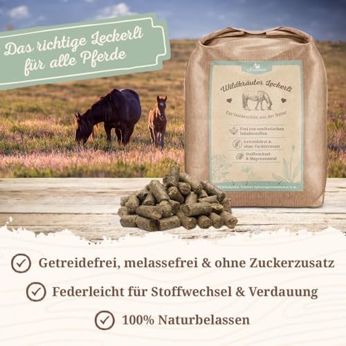 Krauterie Wildkräuter Pferdeleckerlis in Spitzenqualität (1000 g), naturbelassen, Pferde Leckerli fürs tägliche Training und zum Clickern, aus Liebe zu Deinem Pferd
