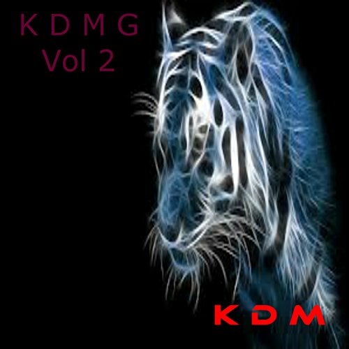 Kingdom Digital Music Group Project, Vol. 2 [Explicit