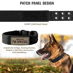 Tactical-Dog-Collar-Military-Adjustable-Dog-Collars-Soft-Nylon-Training-Collar-with-Patch-Heavy-Duty-Metal-Buckle-Collars-for-Medium-Large-Dogs-L-Black - Cucciolini Doodles   Tactical-Dog-Collar-Military-Adjustable-Dog-Collars-Soft-Nylon-Training-Collar-with-Patch-Heavy-Duty-Metal-Buckle-Collars-for-Medium-Large-Dogs-L-Black
