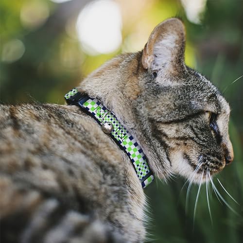Collar Breakaway para Gato Buckle-Down de Cuadros Verde y Azul 3