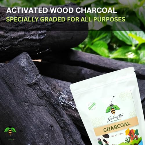 Image of Wood Based Activated Charcoal (1 Kilogram) for Orchid Potting, anthurium Plants, Horticultural Grade, Grilling, Barbecue, Baby Dhoop, BBQ Low Smoke Charcoal (1KG)
