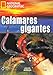 Calamares gigantes: Colección Andar.es