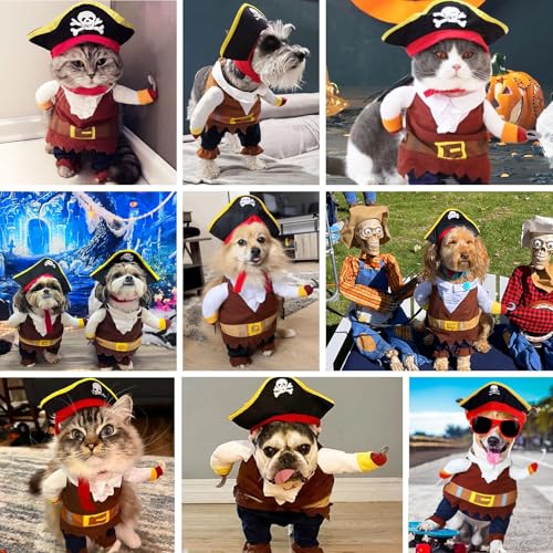 Disfraz Pirata para Perro y Gato Halloween Talla L miniatura 7