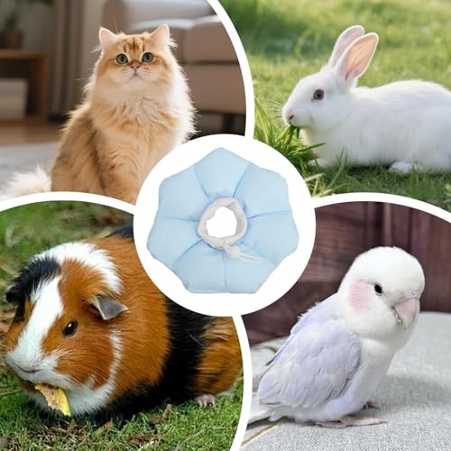 Conos para mascotas pequeños como hámsteres y hurones con cuello impermeable 5