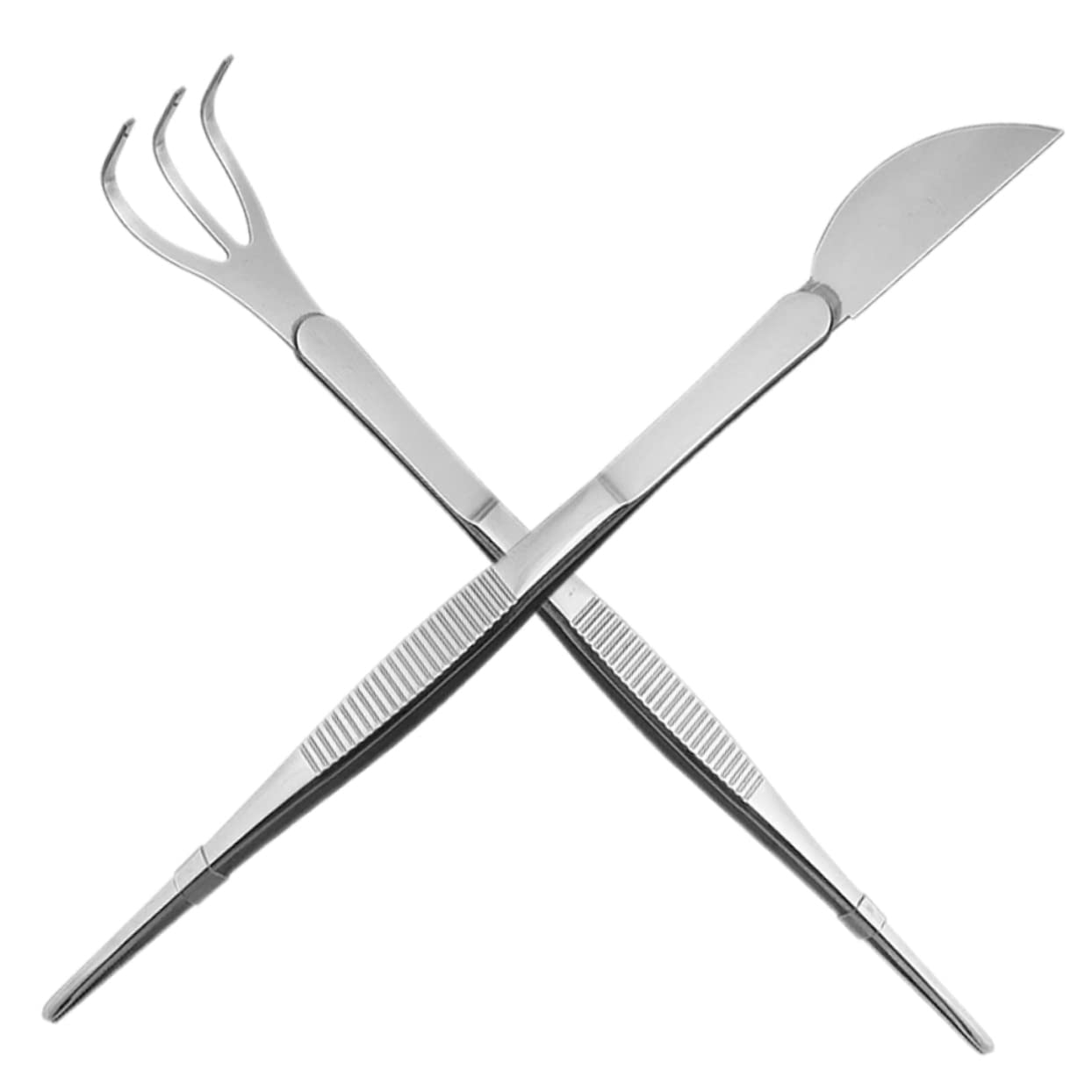 Mipcase 6pezzi Pinzette Per Bonsai Acciaio Inossidabile Utensili Compatti Per Giardinaggio e Delle Piante Succulente Per Rimozione Foglie Secche e Applicazione Di Muschio