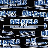 Fan-Kultur Xperience