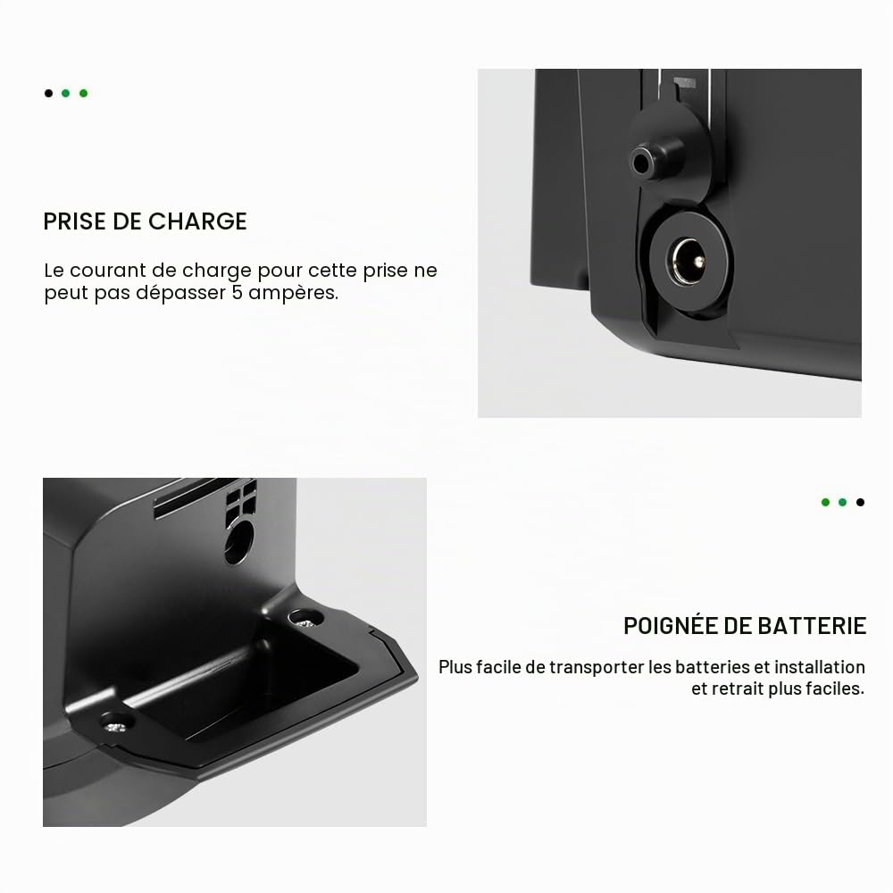 Batterie Vélo Électrique 48V 14Ah SF-06S JCEB480-11.6 avec Chargeur | pour Moteur 48V 250W/350W/800W Compatible avec Phylion Fischer Bianchi Ebike