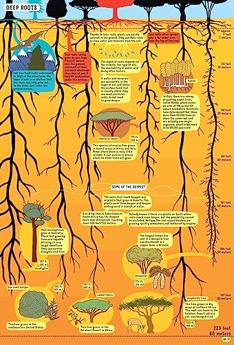 Under Water, Under Earth - Image 3