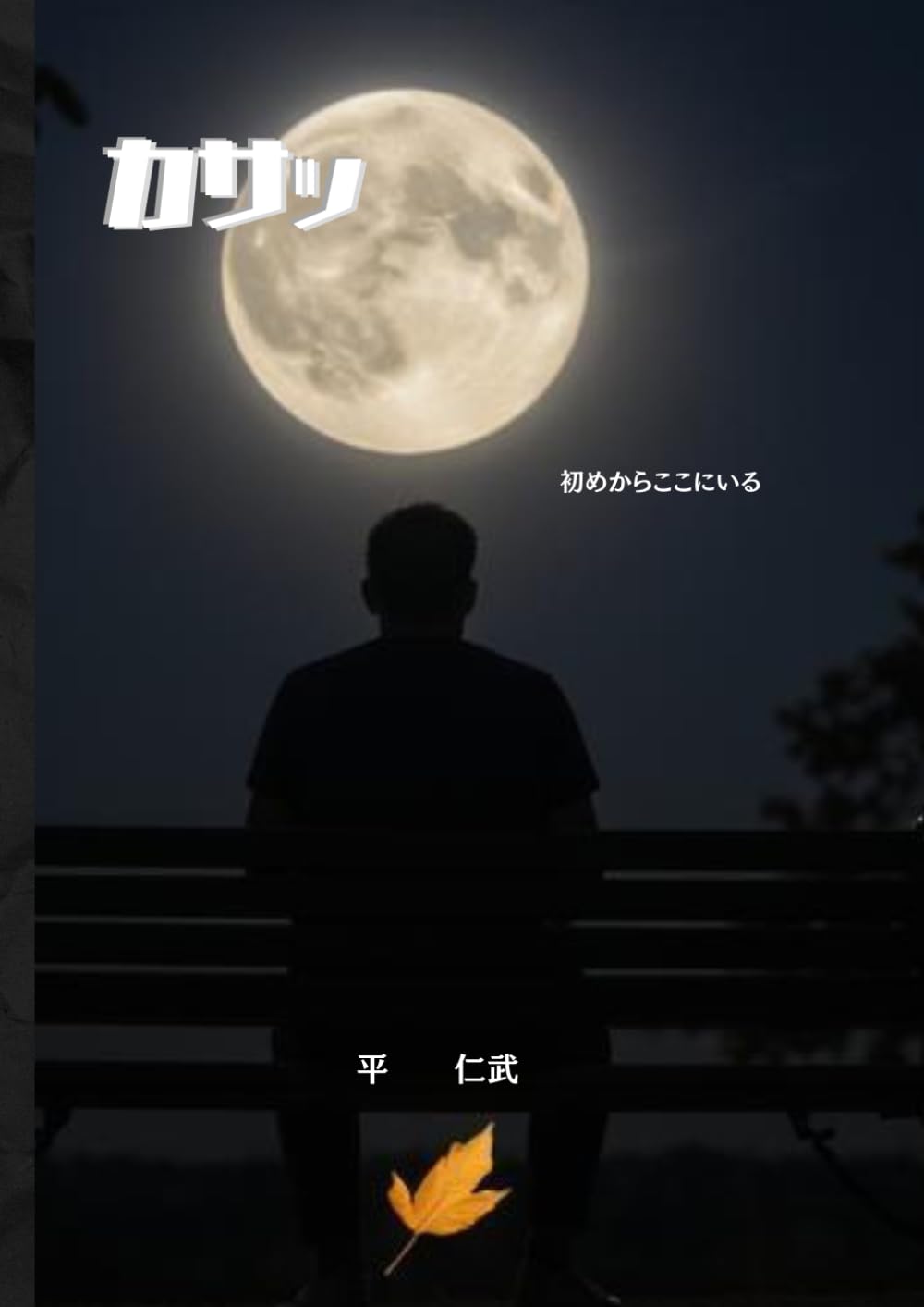 カサッ 初めからここにいる: 説明できないものは、存在しないのか
