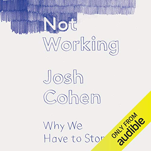 Not Working Why We Have to Stop (Audible Audio Edition