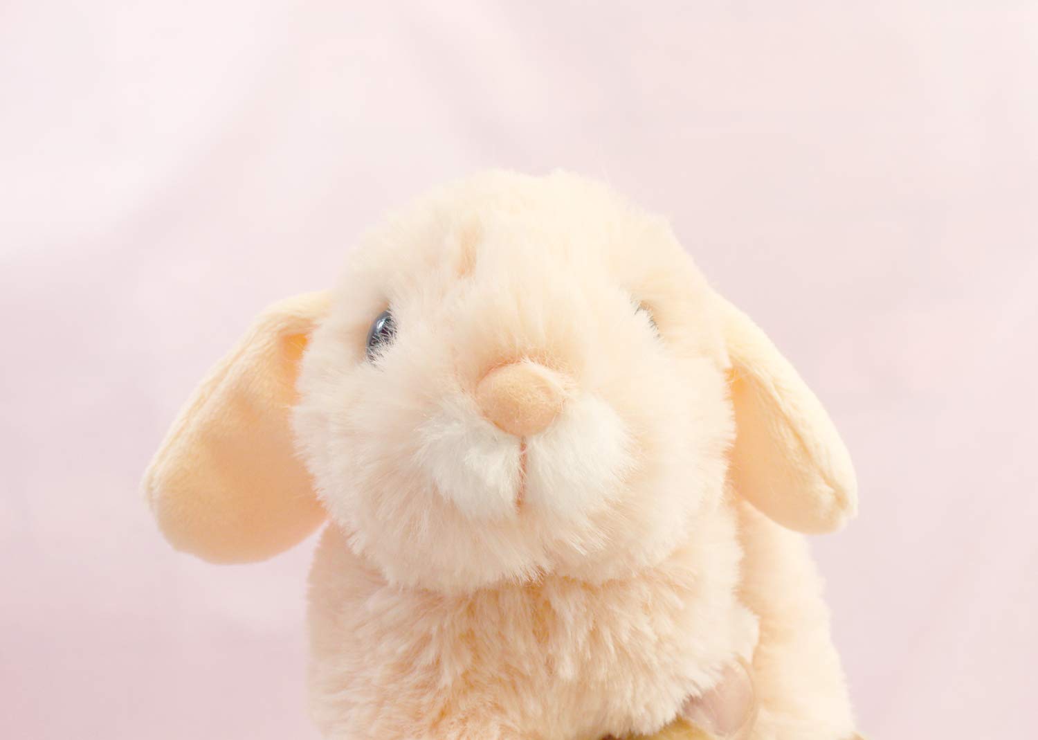 Amazon.co.jp: テイクオフ うさぎのマロン ロップイヤー ピンク : おもちゃ