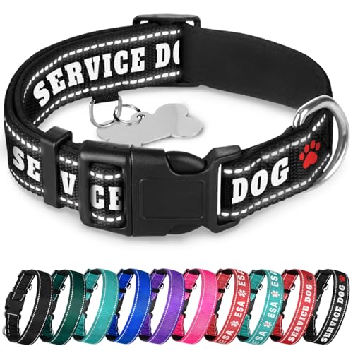 TECEUM Reflective Pet Collar – Black - Service Dog – M – Extra Soft Padding – Basic Nylon Dog Collar – Quick Release Buckle – Fits Small, Medium and Large Dogs, Puppies, Cats