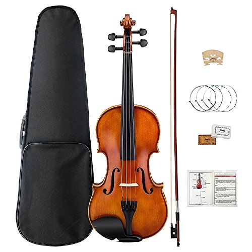 20 Best Cheap Violin Reviews 2022 (Best Budget Violins) CMUSE