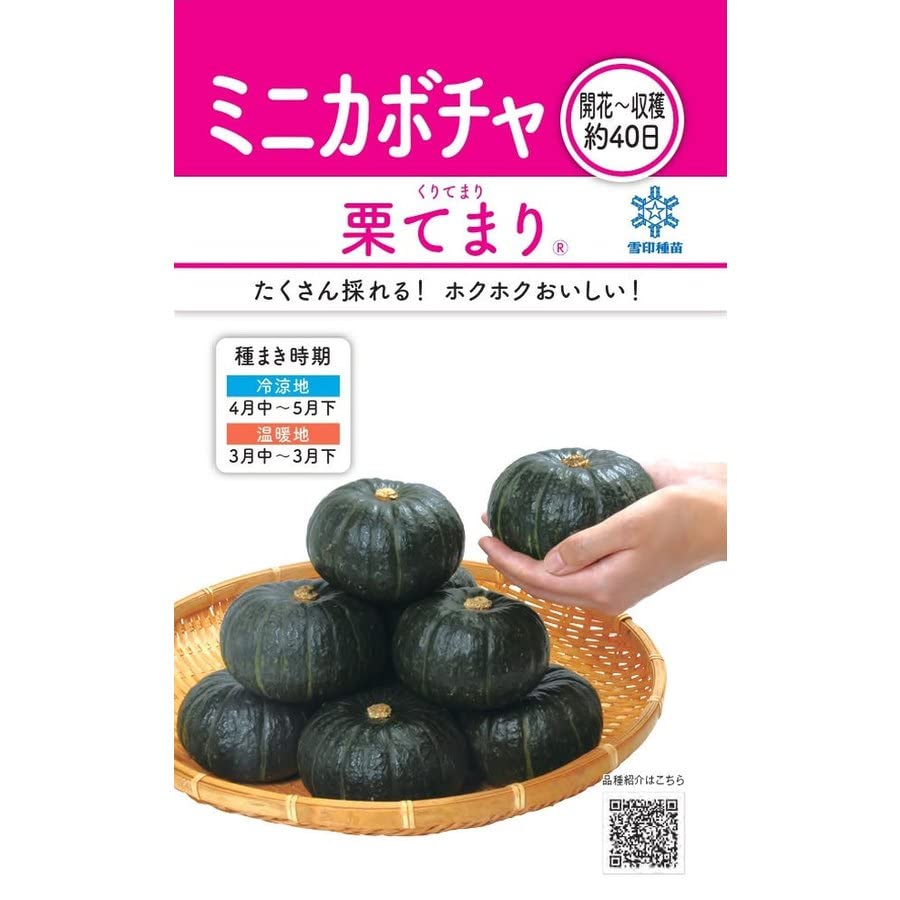 Amazon.co.jp: 雪印種苗 ミニカボチャ 栗てまり : DIY・工具・ガーデン
