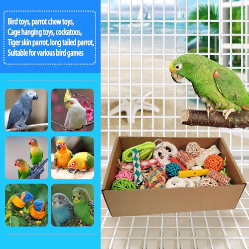 image for kencunay bird toys，Colorful Parrot Foraging and Tearing Toy Box - Su