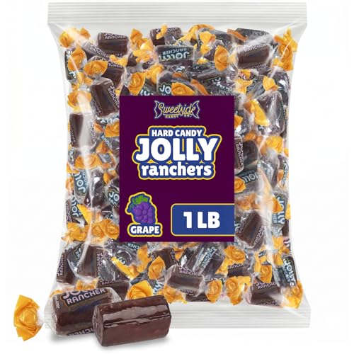 Grape Flavor Hard Candy 1 LB Bulk Bag Assortment | Purple Individually Wrapped, Parties, Buffets, Baby Shower and Snacking - image 1