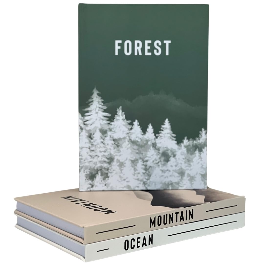 Amazon.co.jp: 装飾ブック3冊セット - インテリアデザイナーに最適な