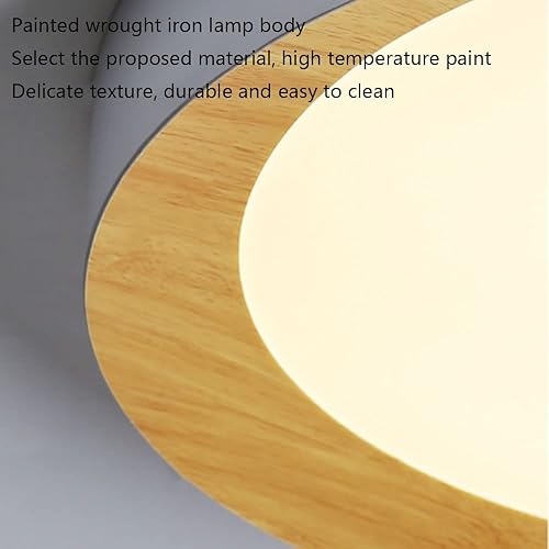 Miniatura 7 de LLUCKYS Lámpara de techo LED de atenuación continua con control remoto regulable LED de techo creativo simple y plano moderno accesorio de montaje