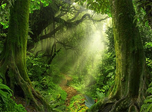 Leowefowa 10X8FT Jungle Forest Backdrop Old Trees Green Vine Dirt Road Fairytale Backdrops