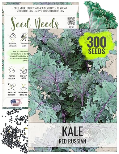 Seed Needs Kale Seeds for Planting Red Russian Kale Vegetables - Non-GMO Heirloom & Untreated...